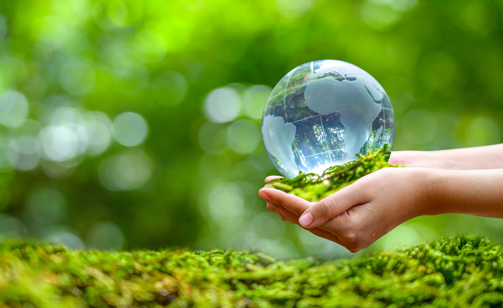 Concept Save the world save environment The world is in the grass of the green bokeh background